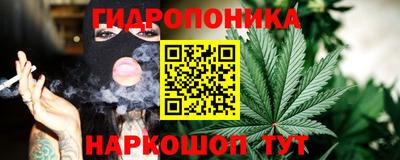 соль ск Шелехов