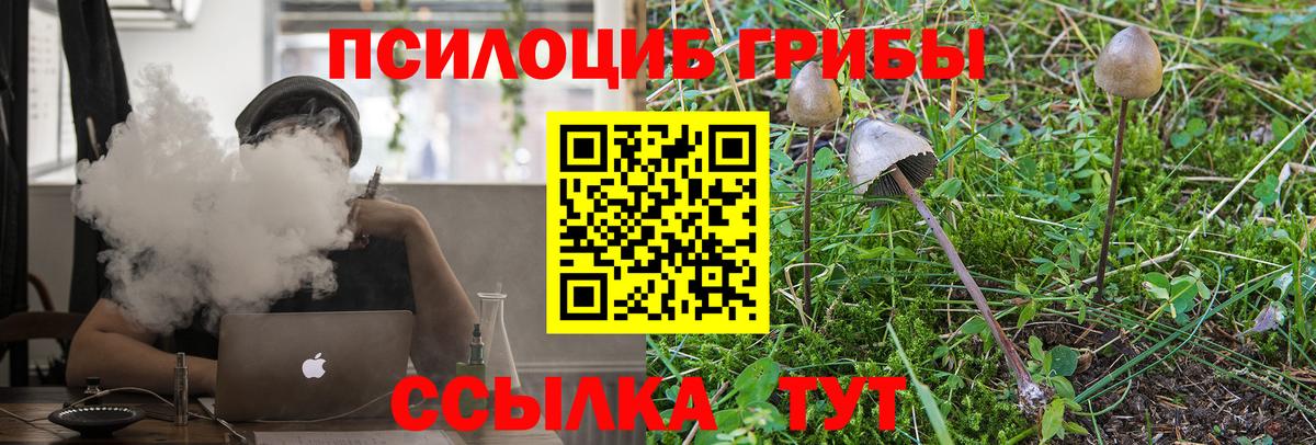 Галлюциногенные грибы прущие грибы Набережные Челны
